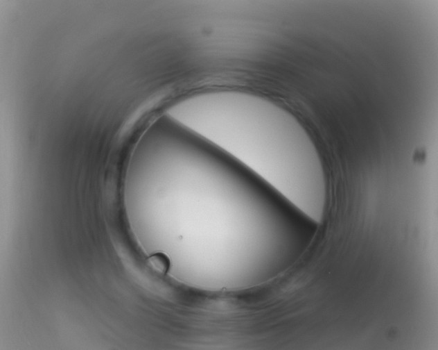X0000114690396200910211059