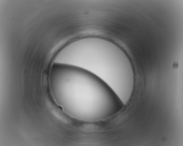 X0000114690399200910211059