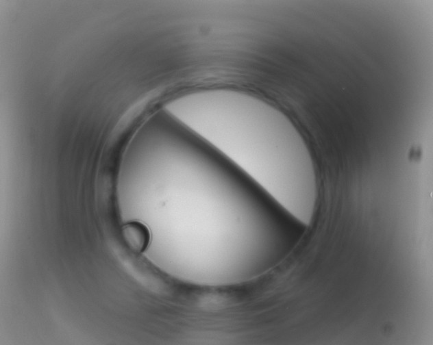 X0000114690400200910211059