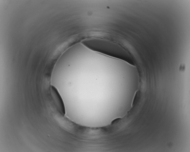 X0000114690401200910211059