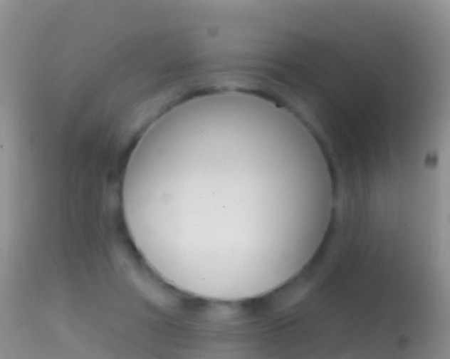 X0000114690402200910211059