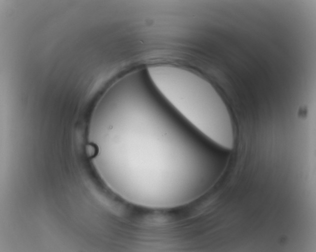 X0000114690404200910211059