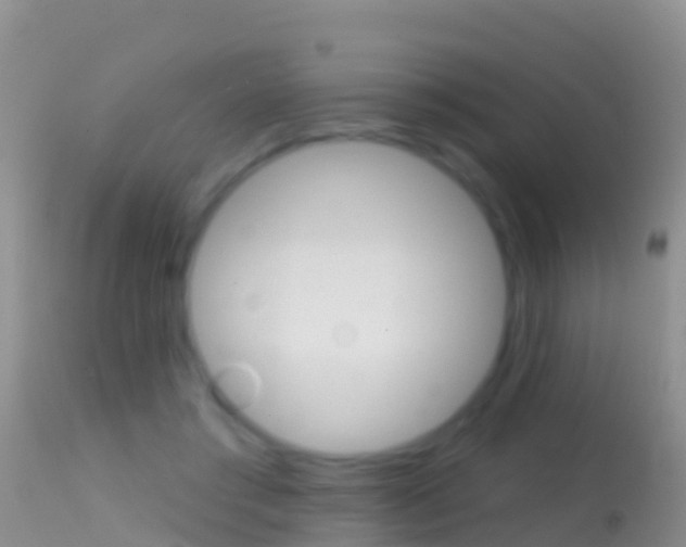 X0000114690405200910211059