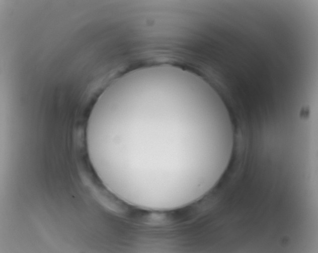 X0000114690406200910211059