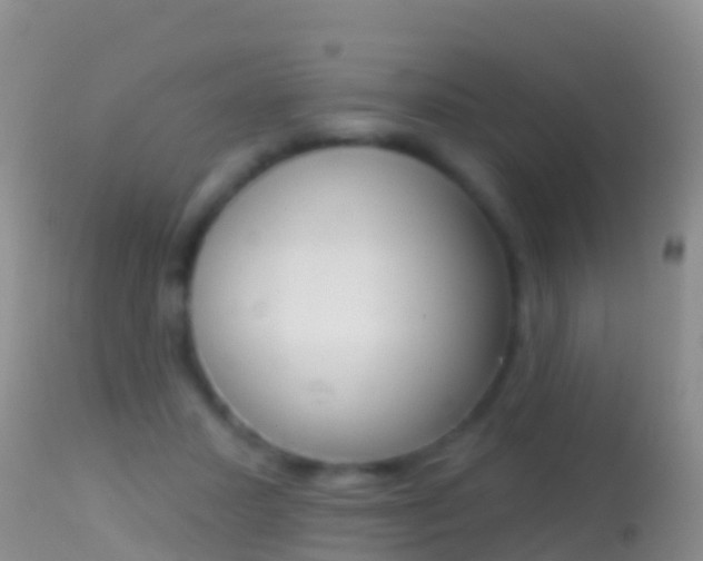 X0000114690407200910211059