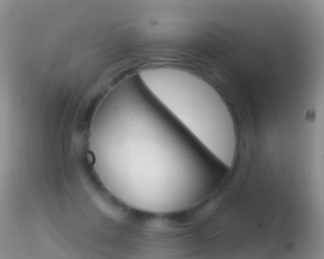 X0000114690408200910211058