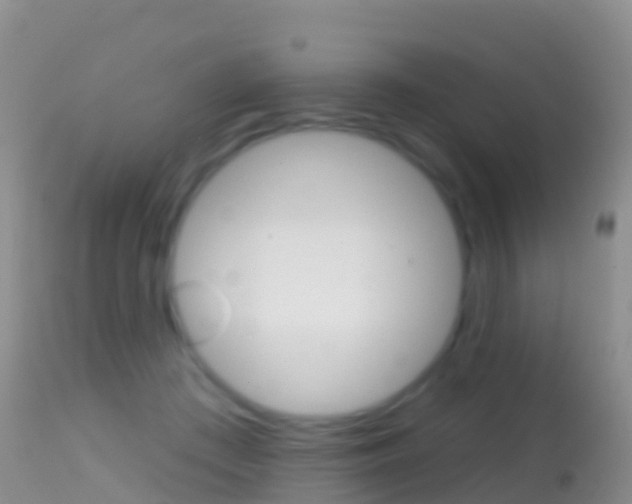 X0000114690409200910211058