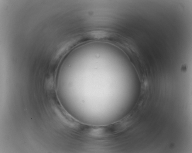 X0000114690411200910211058