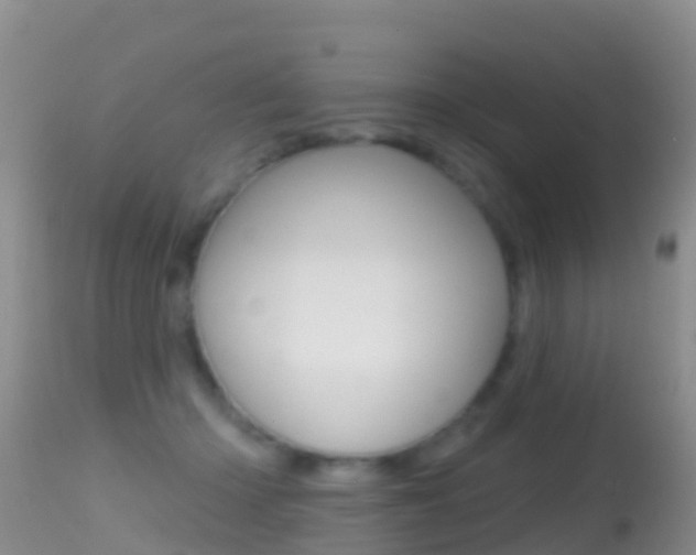 X0000114690414200910211058