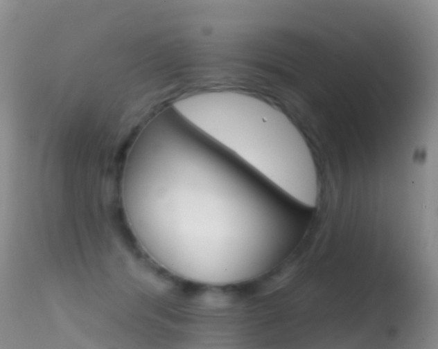 X0000114690416200910211058
