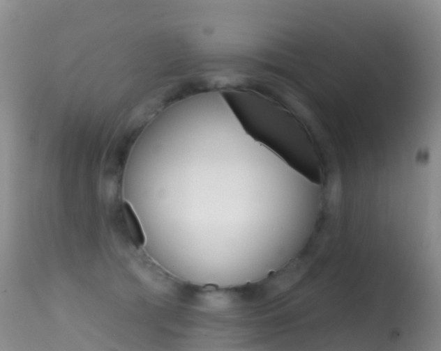 X0000114690417200910211058