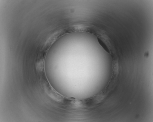 X0000114690419200910211058