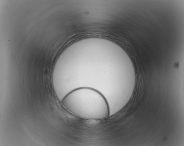 X0000114690421200910211058