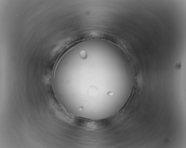 X0000114690423200910211058
