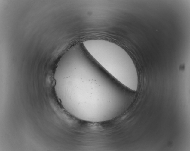 X0000114690424200910211058