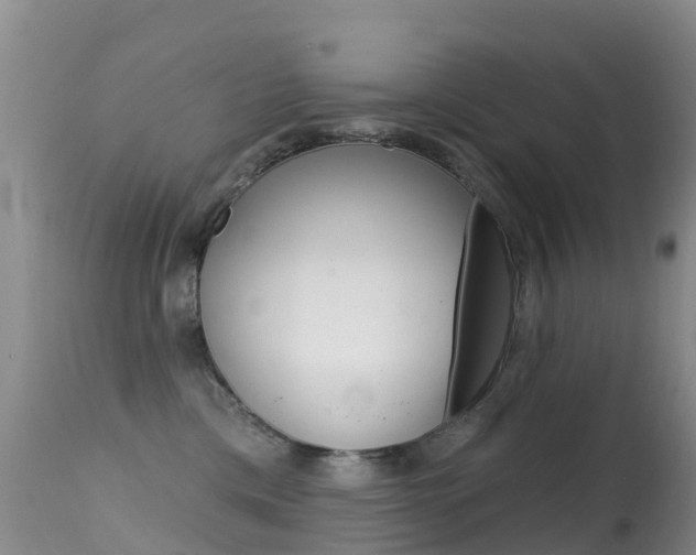 X0000114690425200910211058