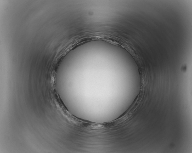 X0000114690427200910211058
