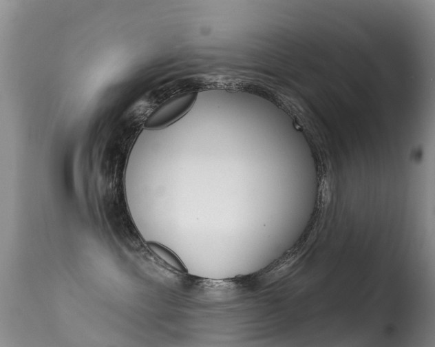 X0000114690429200910211058