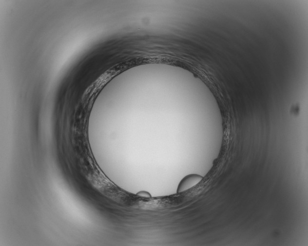 X0000114690430200910211058