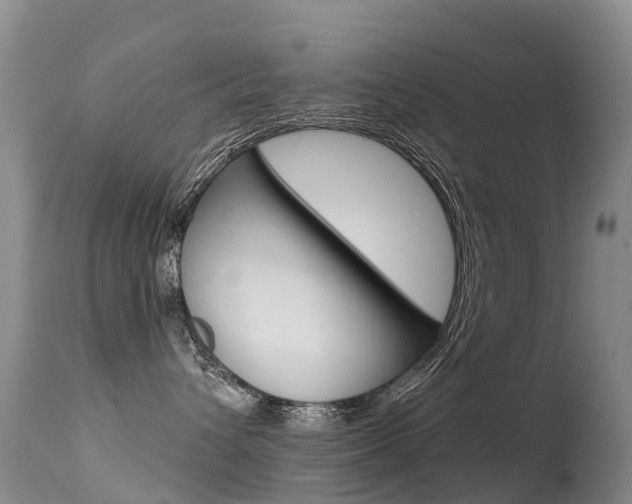 X0000114690432200910211058
