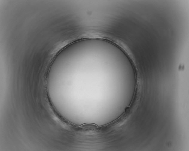 X0000114690433200910211058