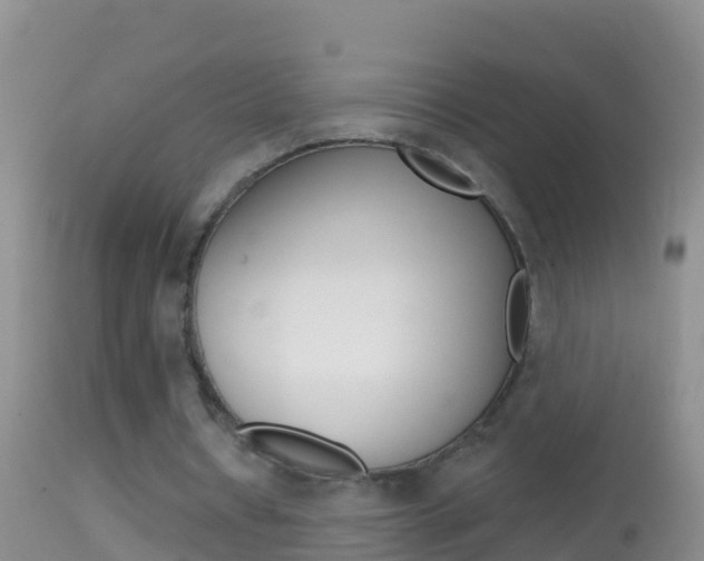 X0000114690434200910211058