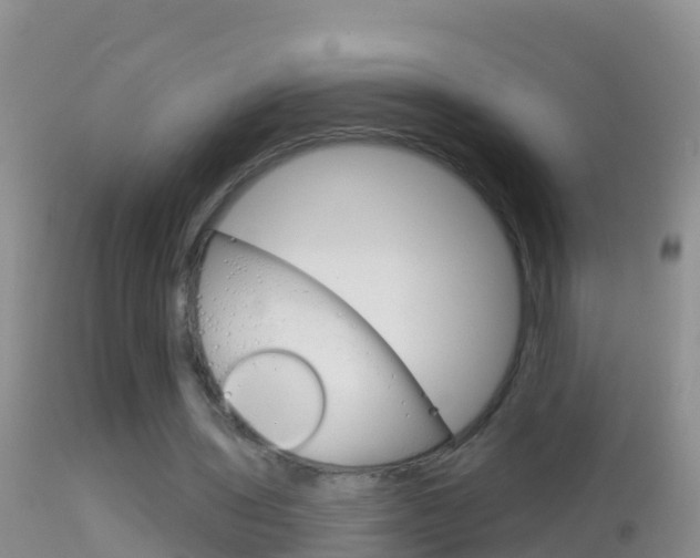 X0000114690435200910211058