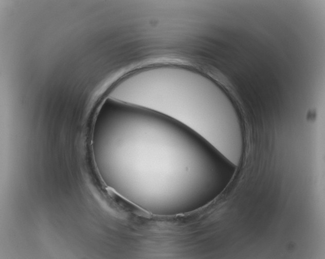 X0000114690436200910211058
