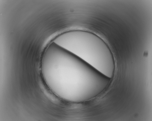 X0000114690438200910211058