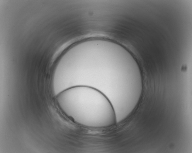 X0000114690440200910211058