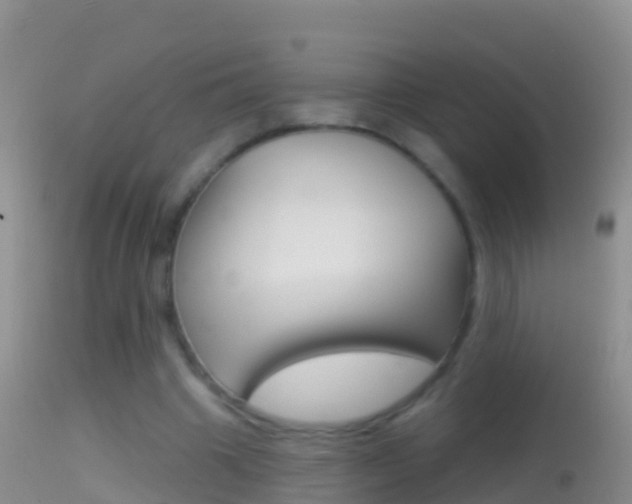 X0000114690441200910211058