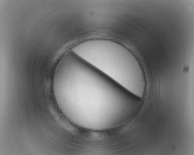 X0000114690442200910211058