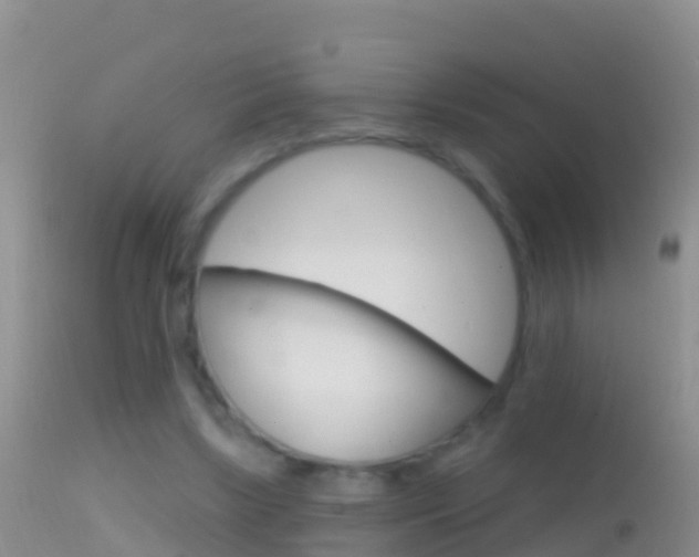 X0000114690443200910211058