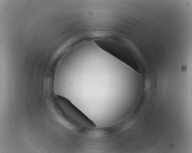 X0000114690444200910211058