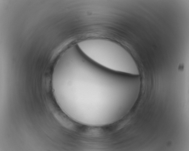 X0000114690446200910211058
