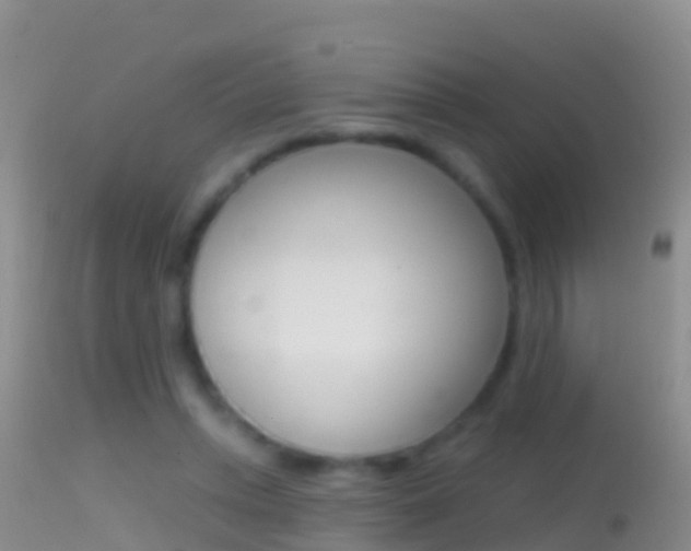 X0000114690447200910211058