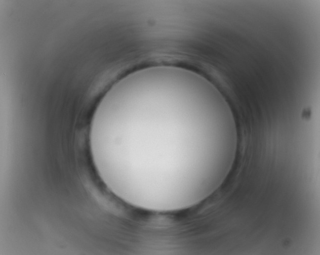 X0000114690451200910211058