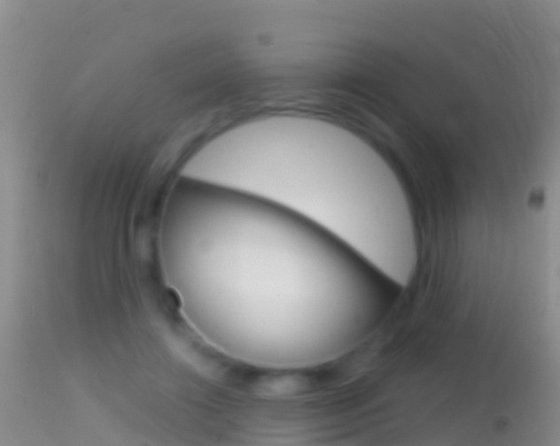 X0000114690452200910211058