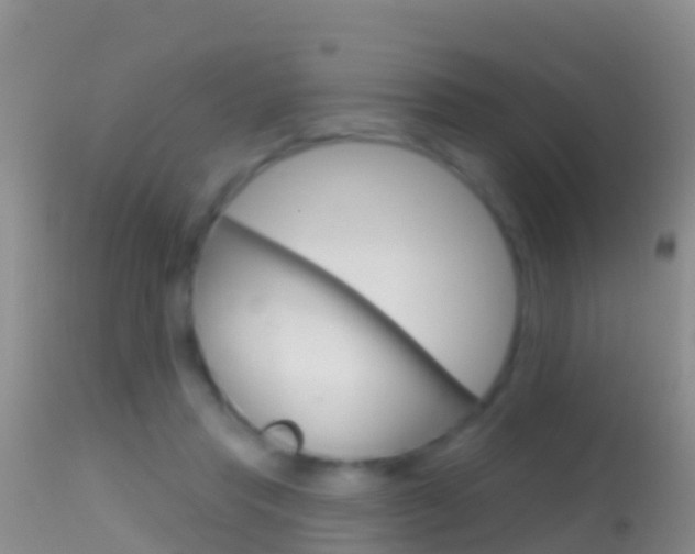 X0000114690453200910211058