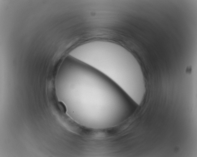 X0000114690456200910211058