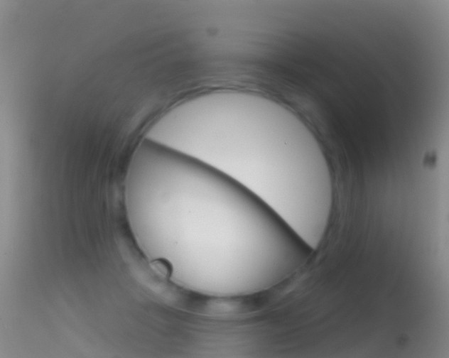 X0000114690457200910211058