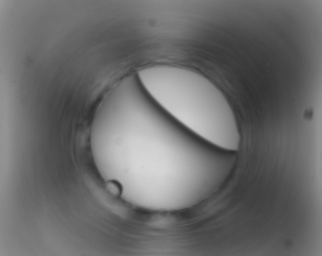 X0000114690458200910211058