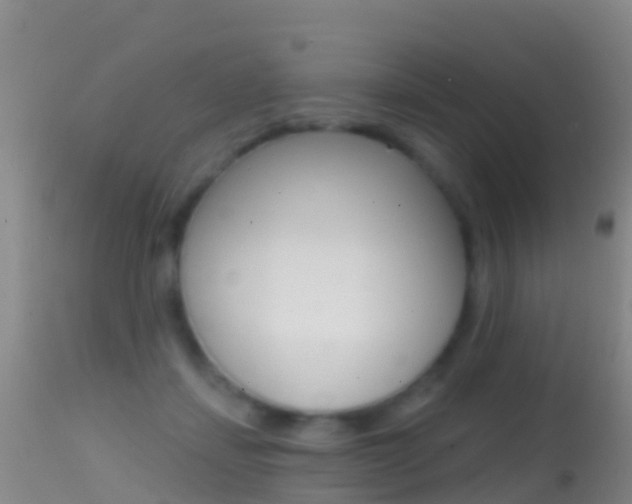 X0000114690459200910211058