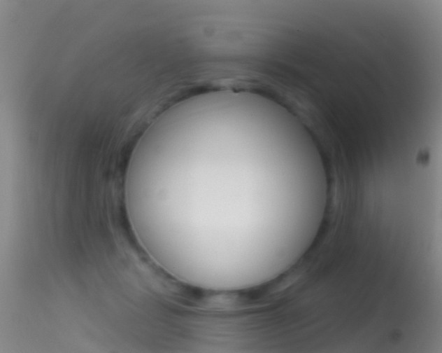 X0000114690461200910211058