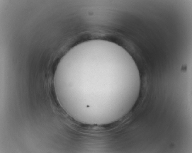 X0000114690463200910211058