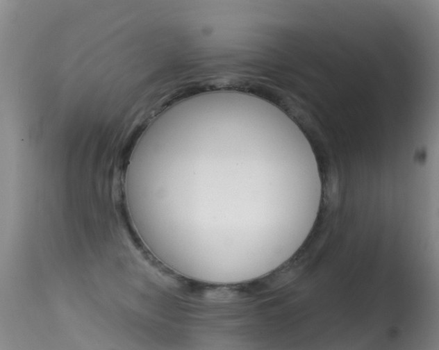 X0000114690470200910211058