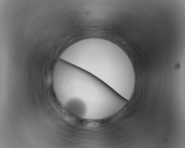 X0000114690471200910211058