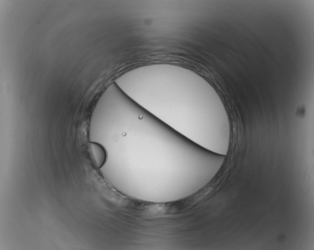 X0000114690473200910211058