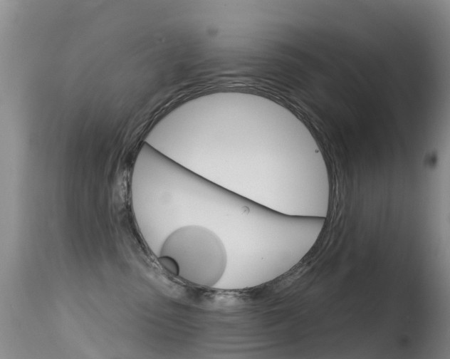 X0000114690475200910211058