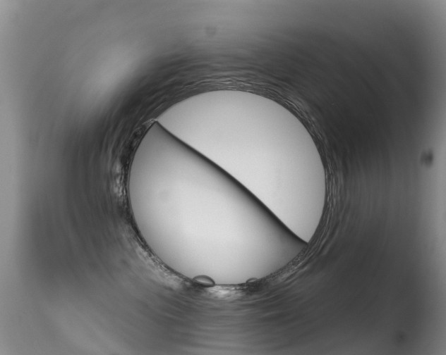 X0000114690477200910211058